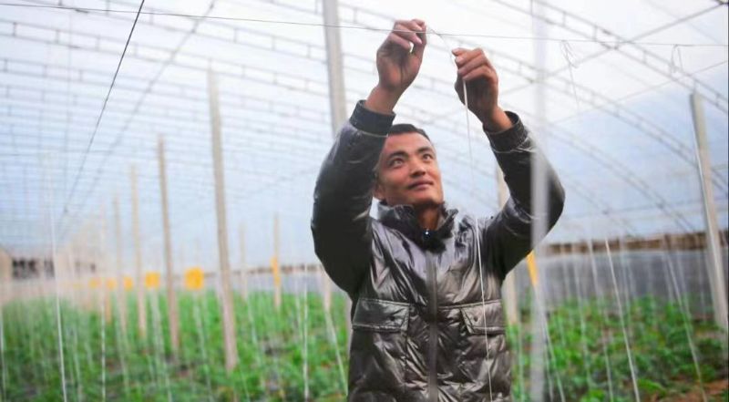 救災(zāi)應(yīng)急貸2 救災(zāi)應(yīng)急貸2